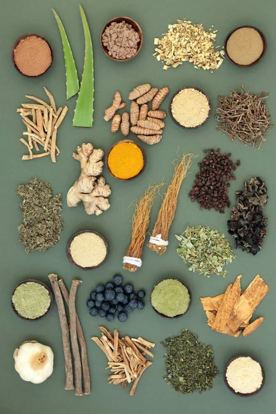 Adaptogén Élelmiszer Gyűjtemény Gyógynövények Fűszerek Gyümölcs Kiegészítésében Porok Használt Gyógynövény — Stock Fotó