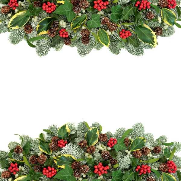 Traditional Christmas Winter Natural Background Border Holly Berries Snow Covered — Stock Photo, Image
