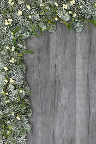 Christmas Winter Spruce Fir Mistletoe Background Border Rustic Grey Wood — Stock Photo, Image
