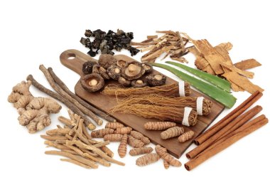 Adaptogen yiyecek toplama otlar ve baharatlar ile. Bitkisel Tıp alanında stres zararlı etkisi karşı ve normal fizyolojik işlevine geri vücut yardım ederdim. Beyaz arka plan üzerinde.