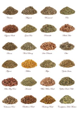 Herbs used in natural herbal medicine with leaves, flowers, roots and bark isolated on white background with titles. clipart