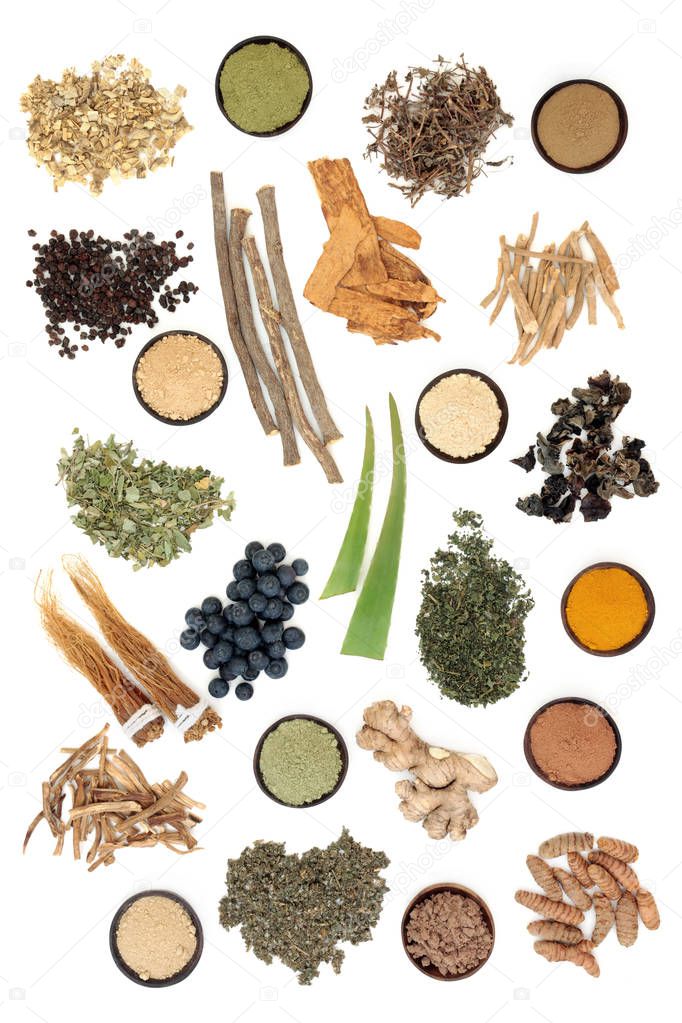 Adaptogen food selection with herbs, spices, fruit & supplement powders on white background. Used in herbal medicine to help the body resist the damaging effect of stress & restore normal physiological functioning.