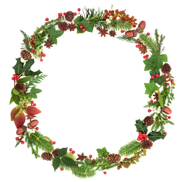 Winter Kerst Krans Garland Met Traditionele Natuurlijke Flora Fauna Van — Stockfoto