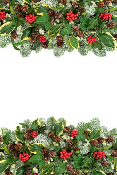 Winter Kerstmis Natuurlijke Achtergrond Grens Met Hulst Bessen Besneeuwde Spruce — Stockfoto