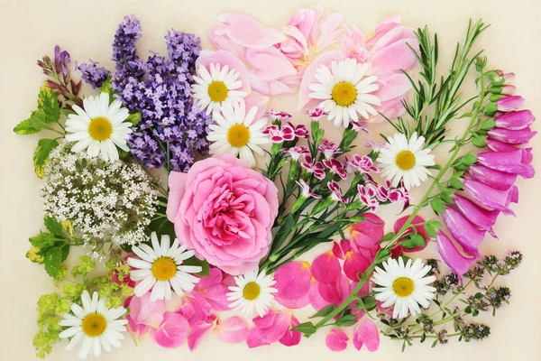 Blumen Und Kräuter Die Der Natürlichen Und Chinesischen Kräutermedizin Auf — Stockfoto
