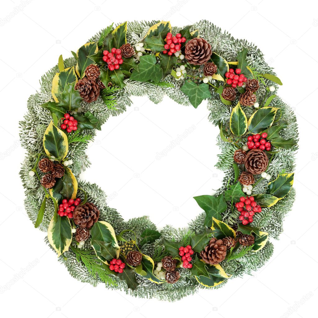 Traditional winter and Christmas wreath with holly, snow covered spruce pine fir, mistletoe, pine cones, cedar and ivy leaves isolated on white background.