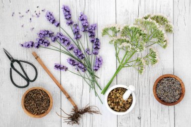 Lavanta, papatya ve valerian otlar ve esans şişesi rustik ahşap arka plan üzerinde. Ruh geliştirmek için alternatif ve geleneksel bitkisel tıp alanında kullanılan, stresi azaltmak, depresyon ve uykusuzluk yardım et. Üstten görünüm.