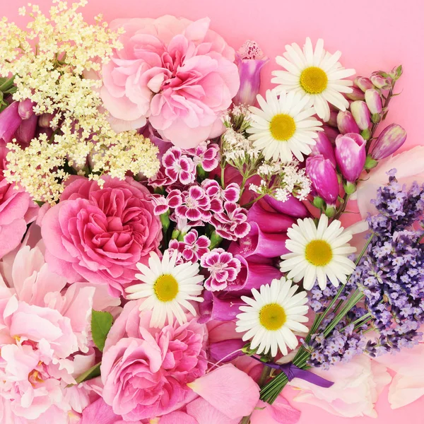 Sommerblumen Und Sommerkräuter Die Der Natürlichen Alternativen Kräutermedizin Auf Rosa — Stockfoto