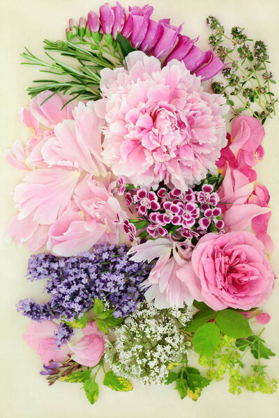 Цветы и травы, используемые в натуральной и китайской травяной медицины на кремовом фоне. Вид сверху, плоский
.