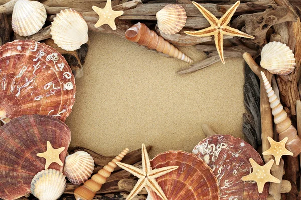 Seashell and driftwood abstract background border on beach sand with copy space.