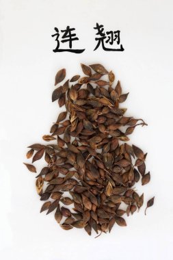 Hor çiçeği meyve bitki hat komut dosyası ile geleneksel Çin bitkisel tıp ağlıyor. Çeviri gibi ağlayan hor çiçeği okur. Anti bakteriyel, anti inflamatuar olduğunu ve birçok diğer sağlık faydası vardır. Lian qiao.