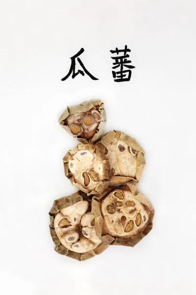 中国のキュウリ ハーブ 肺の感染症の問題で使用される書道スクリプトと中国の漢方薬で使用されています 中国のキュウリとして翻訳を読み取ります Gua Trichosanthis Kirlowii — ストック写真