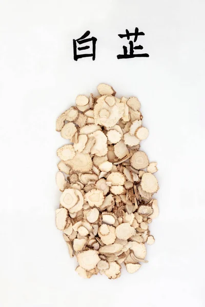 Корневая Трава Анжелика Используется Традиционной Китайской Травяной Медицине Каллиграфическим Шрифтом — стоковое фото
