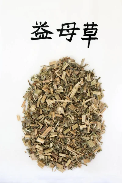 Erba Motherwort Utilizzato Medicina Base Erbe Cinese Con Scrittura Calligrafia — Foto Stock