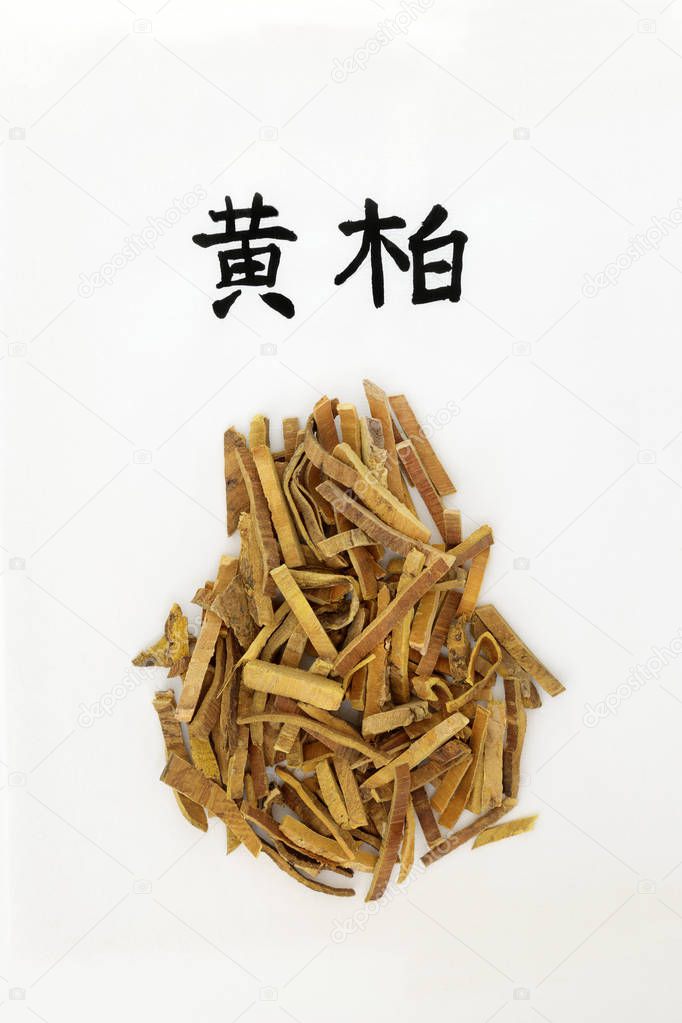 Amur cork tree bark herb used in chinese herbal medicine, has anti bacterial, anti microbial & anti inflammatory properties. On rice paper with calligraphy script, translation reads as amur cork tree. Huang bai. Phellodendron amurense.