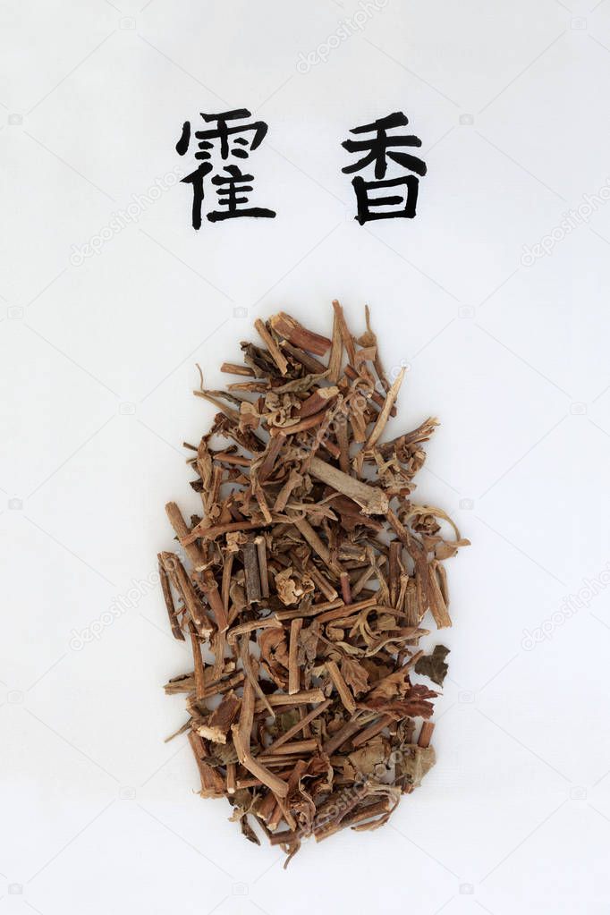 Hierba de menta coreana utilizada en la medicina herbal china con guion de caligrafía. La