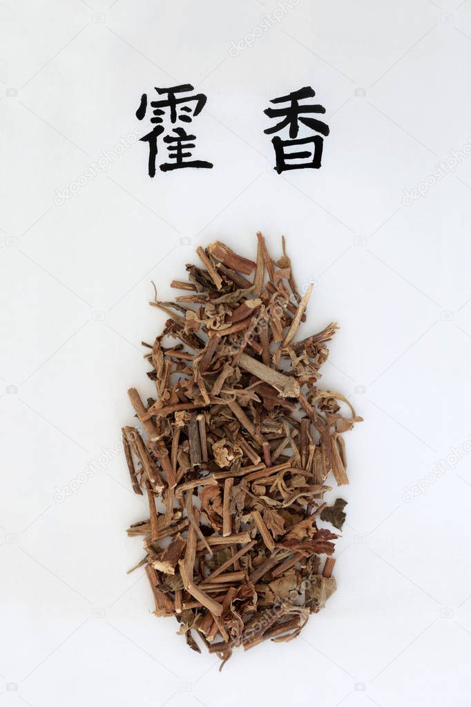 Korean mint herb used in chinese herbal medicine with calligraphy script. Translation reads as Korean mint. Used to help diabetes, anaemia, osteoporosis & allergies. Huo xiang.  Agastache rugosa.