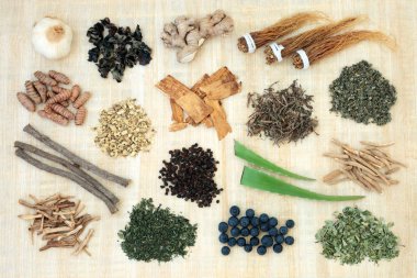 Adaptogen Gıda seçimi otlar, baharatlar ve meyve ile. Bitkisel Tıp alanında stres zararlı etkisi karşı ve normal fizyolojik işlevine geri vücut yardım ederdim. Üstten görünüm.