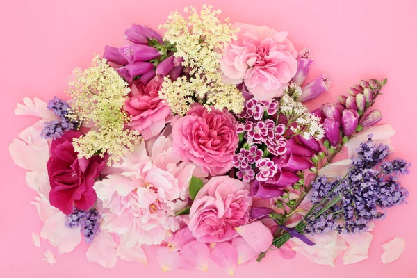Blumen Und Kräuter Die Der Natürlichen Alternativen Kräutermedizin Auf Rosa — Stockfoto