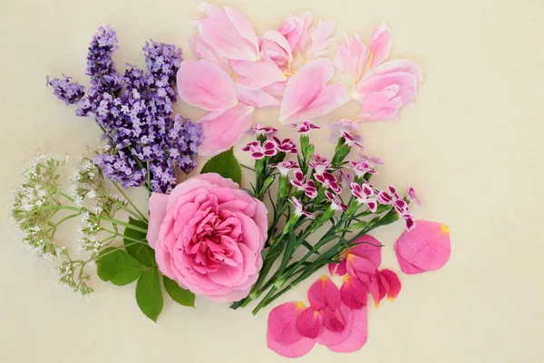 Lavendel Rose Dianthus Pfingstrose Und Baldrian Blumen Und Blütenblätter Der — Stockfoto