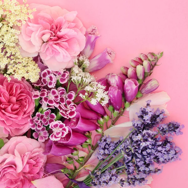 Sommerblumen Und Sommerkräuter Die Der Natürlichen Alternativen Kräutermedizin Auf Rosa — Stockfoto