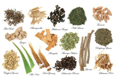 Beyaz arka plan üzerinde adaptogen ot ve baharat seçimi. Bitkisel tıp alanında stres zararlı etkisi karşı ve normal fizyolojik işlevine geri vücut yardım ederdim. Açıklayıcı başlıklar ile.