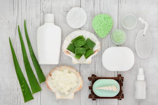Aloe Vera Skincare Including Plant Stems Yoghurt Moisturiser Facial Cream — Stock Photo, Image