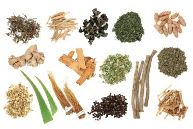Beyaz arka plan üzerinde adaptogen ot ve baharat seçimi. Stres zararlı etkisi karşı ve normal fizyolojik işlevine geri vücut yardımcı bitkisel tıp alanında kullanılan.