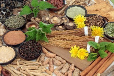 Adaptogen gıdalar otlar ve baharatlar ile. Bitkisel tıp alanında stres zararlı etkisi karşı ve normal fizyolojik işlevine geri vücut yardım ederdim. Beyaz arka plan üzerinde.