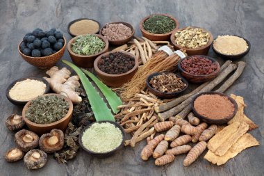 Adaptogen gıda koleksiyonuyla otlar, baharatlar, meyve ve ek tozlar. Stres zararlı etkisi karşı ve normal fizyolojik işlevine geri vücut yardımcı bitkisel tıp alanında kullanılan.