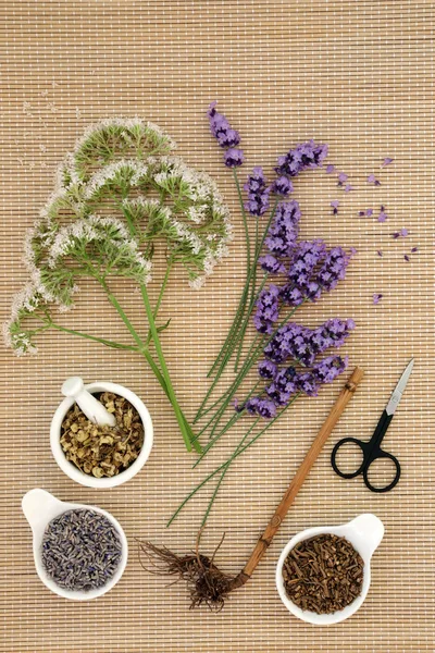 Valerian kamomilla ja laventeli kasviperäisten lääkkeiden — kuvapankkivalokuva