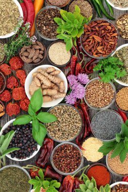 baharat ve bitki koleksiyonu