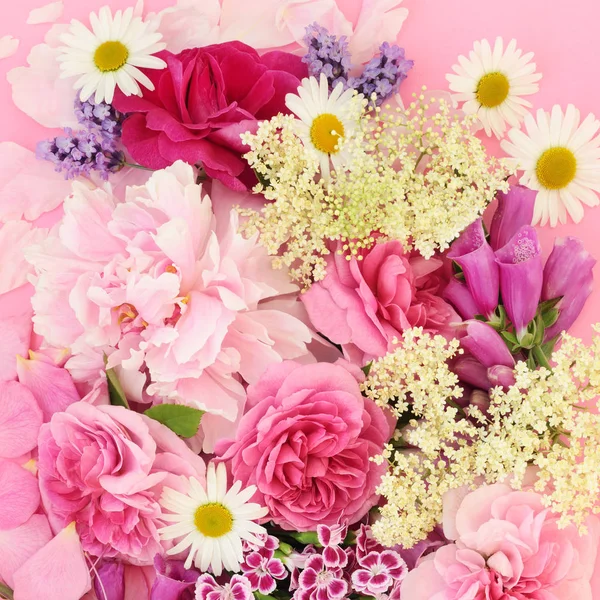 Sommerkräuter und Blumen — Stockfoto