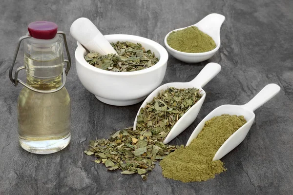 Aceite de hoja de hierba de Moringa y polvo — Foto de Stock