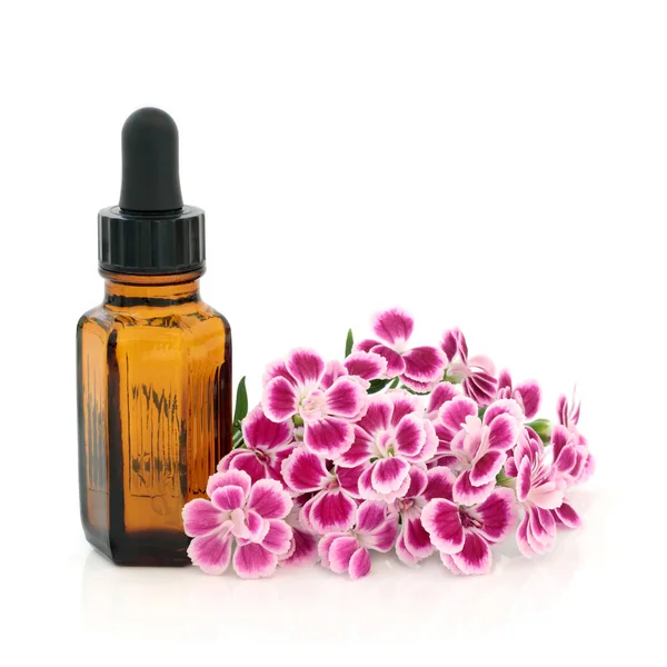 Dianthus Flowers Herbal Medicine — Stock Photo, Image