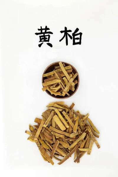 中国阿穆尔软木树树皮草本 — 图库照片