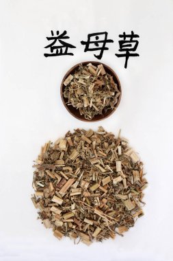 Çin Motherwort bitki