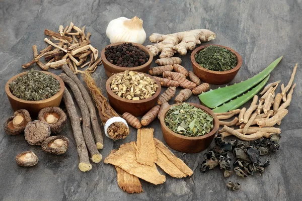 Adaptogen örter och kryddor — Stockfoto