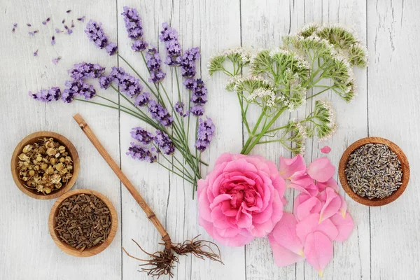 Natürliche pflanzliche Medizin — Stockfoto