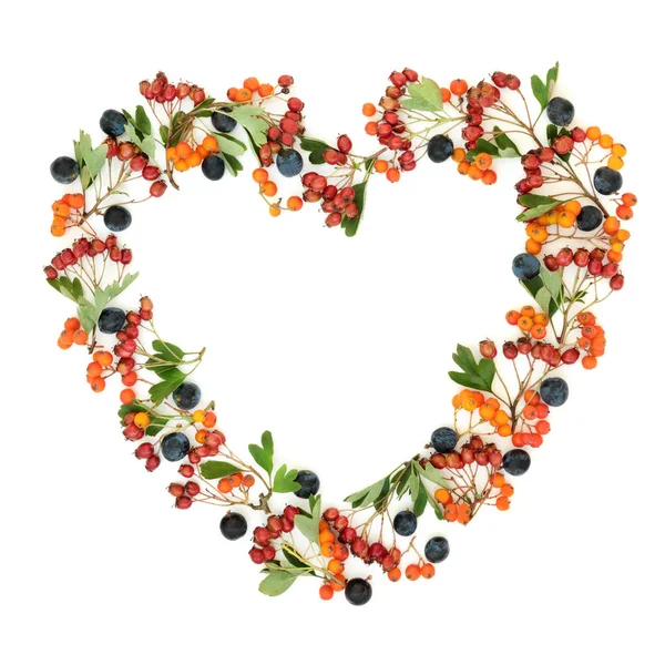 Kalp Şeklinde Sonbahar Berry Çelenk — Stok fotoğraf