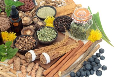 Adaptogen Bitkisel Tıp ve Gıda Seçimi