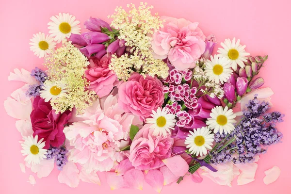 Sommerblumen und Kräuter — Stockfoto