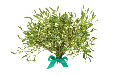 Kış ve Noel Ökseotu