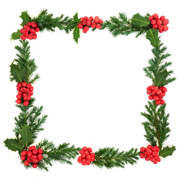 Holly and Juniper Wreath — Stock Photo, Image
