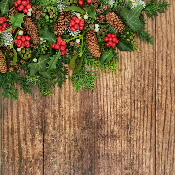 Winterflora auf rustikalem Holz — Stockfoto