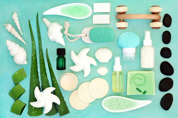 Aloe Vera Skin Care Beauty Treatment