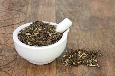 Southernwood Bitkisi