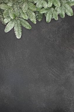 Noel ve Kış Arka Plan Sınır