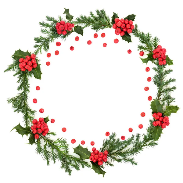 Holly and Juniper Fir Wreath — Stock Photo, Image