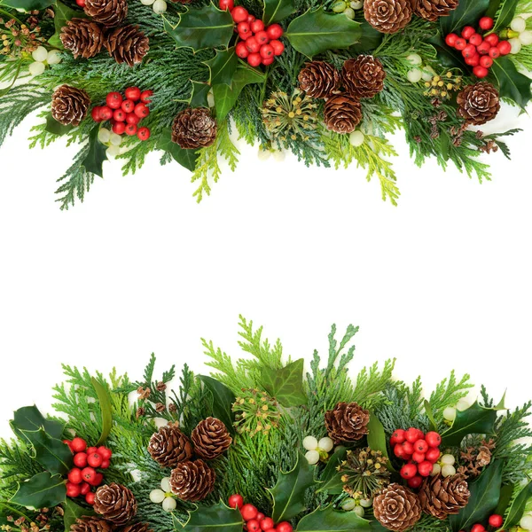 Traditional Winter Christmas New Year Greenery Border Holly Cedar Cypress — Stock Photo, Image